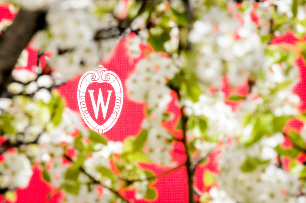 A W crest is pictured surrounded by the spring blooms of an ornamental pear tree along University Avenue at the University of Wisconsin-Madison.