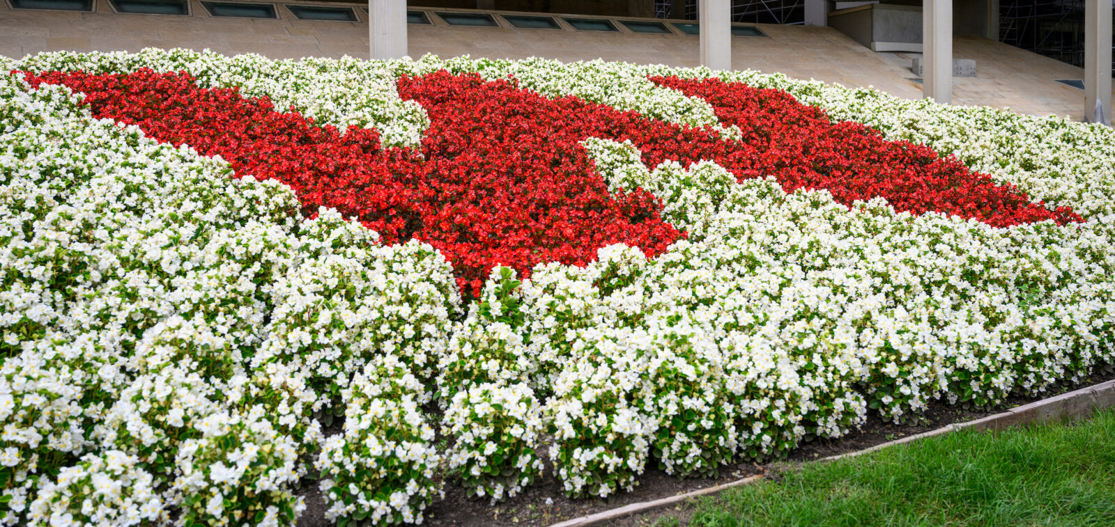 The flower bed in front of the Humanities Building sports a W made of red and white begonias