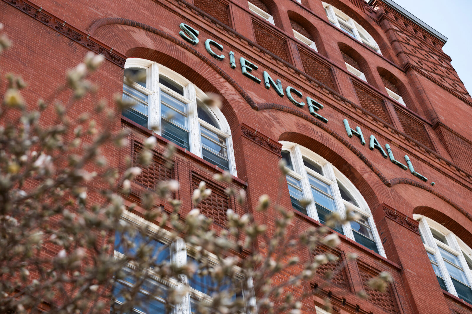 Budding magnolia trees frame Science Hall