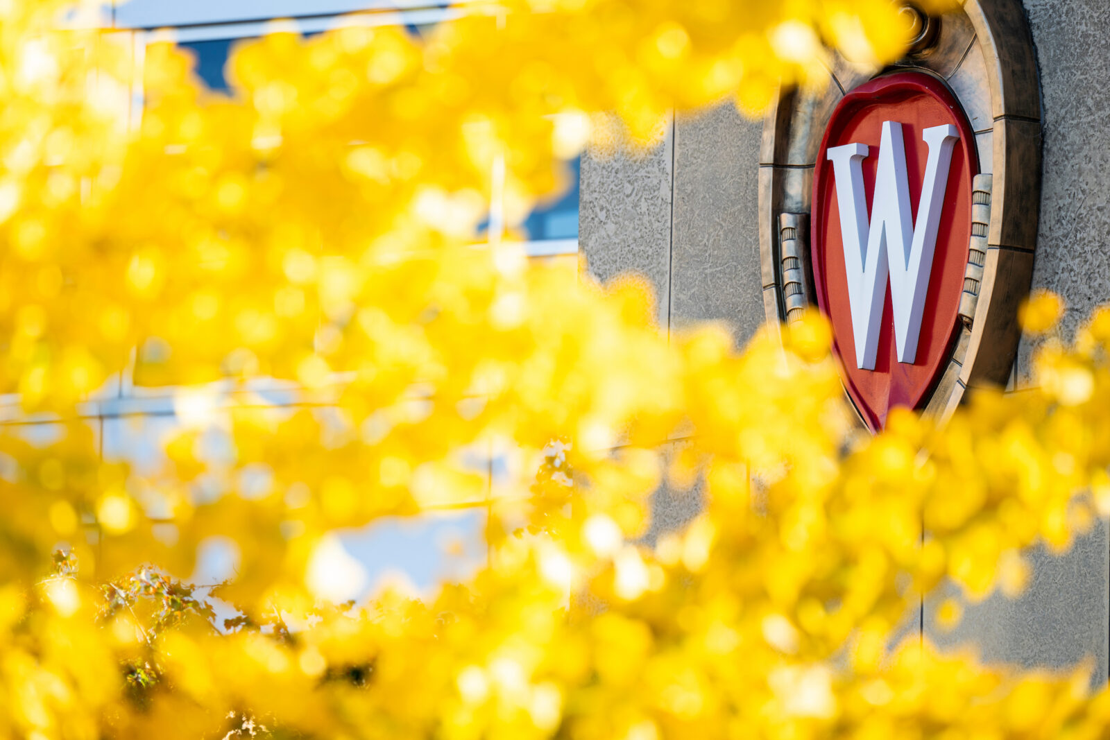 The UW Crest on the side of the Health Sciences Learning Center frames in yellow leaves