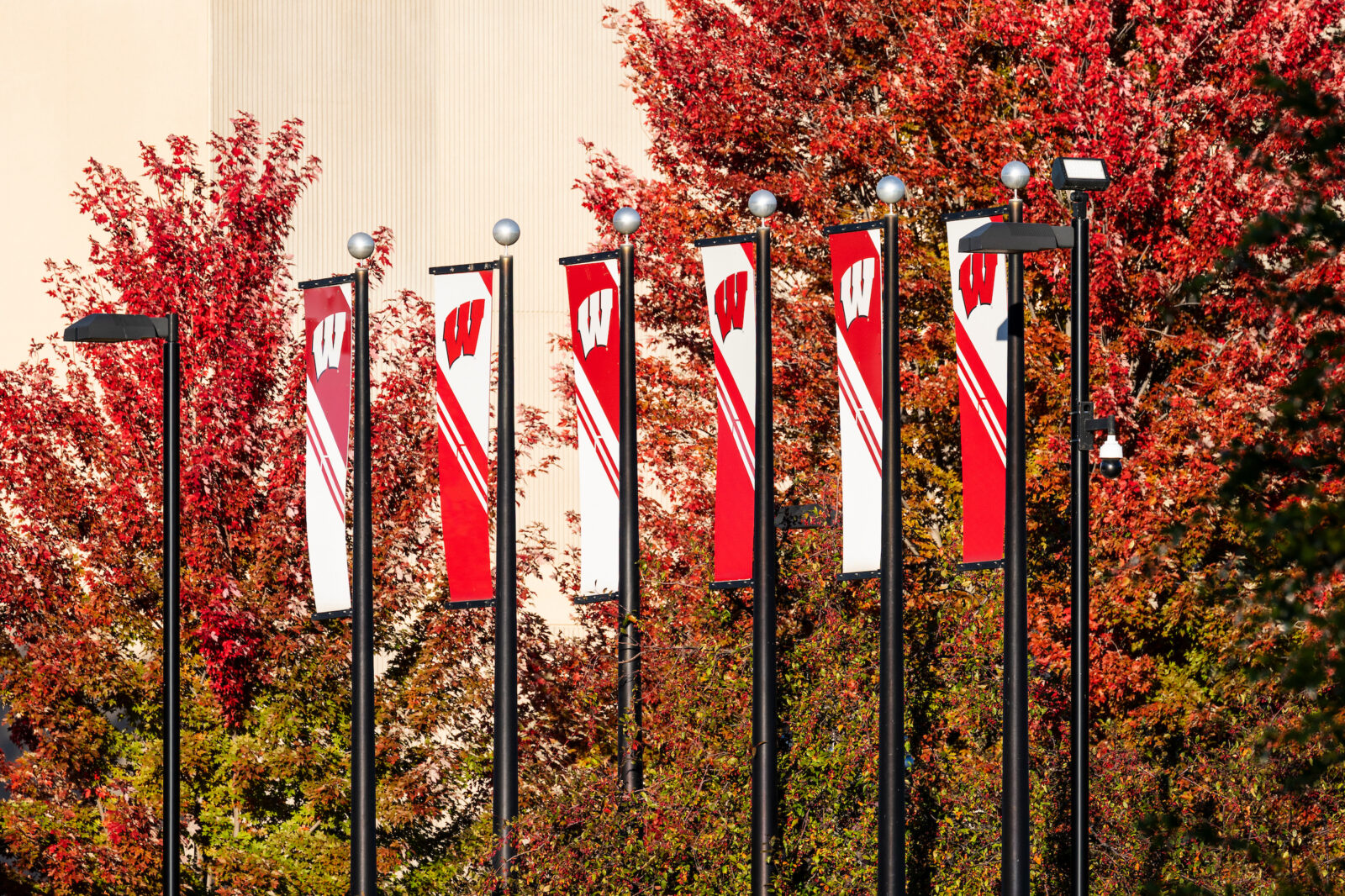 A row of Motion W flags outside the entrance to Kohl Center